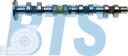 BTS Turbo CP11931 - Arbre à came droxauto.com