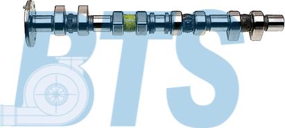 BTS Turbo CP11933 - Arbre à came droxauto.com