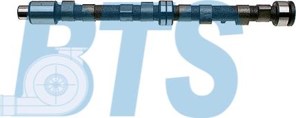 BTS Turbo CP11104 - Arbre à came droxauto.com