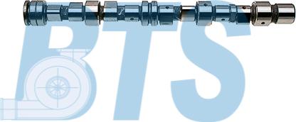 BTS Turbo CP12206 - Arbre à came droxauto.com