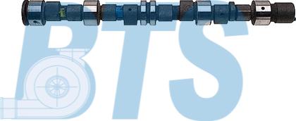 BTS Turbo CP12202 - Arbre à came droxauto.com