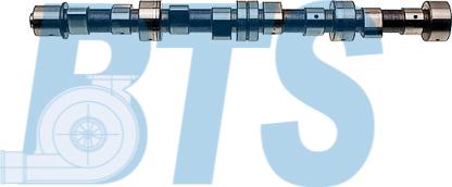 BTS Turbo CP12213 - Arbre à came droxauto.com