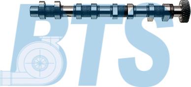 BTS Turbo CP12234 - Arbre à came droxauto.com