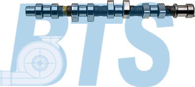 BTS Turbo CP12237 - Arbre à came droxauto.com