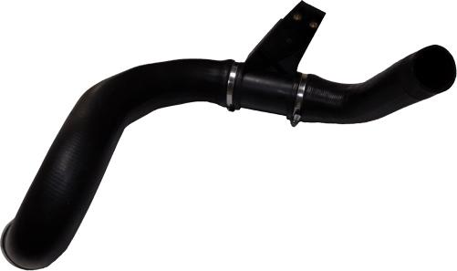 Bugiad 81650 - Gaine de suralimentation droxauto.com