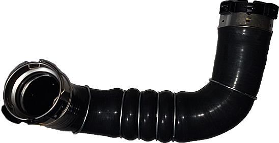 Bugiad 81832 - Gaine de suralimentation droxauto.com