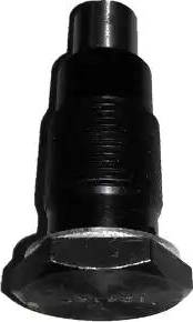 Bugiad BSP24695 - Tendeur, chaîne de distribution droxauto.com