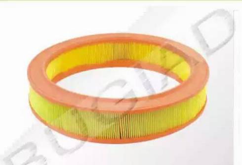 Bugiad BSP21310 - Filtre à air droxauto.com