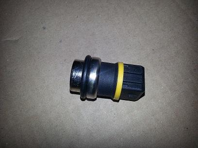 Bugiad BSP21276 - Sonde de température, liquide de refroidissement droxauto.com