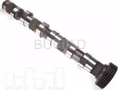 Bugiad BSP23272 - Arbre à came droxauto.com