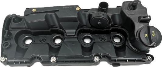 Bugiad BVC50084 - Couvercle de culasse droxauto.com