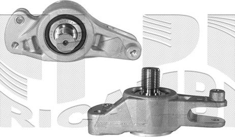 Caliber 46366 - Tendeur de courroie, courroie trapézoïdale à nervures droxauto.com