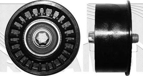 Caliber 57163 - Poulie renvoi / transmission, courroie de distribution droxauto.com