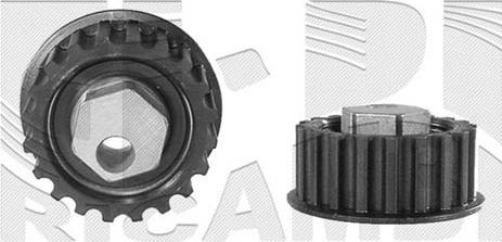 Caliber 06666 - Poulie-tendeur, courroie de distribution droxauto.com