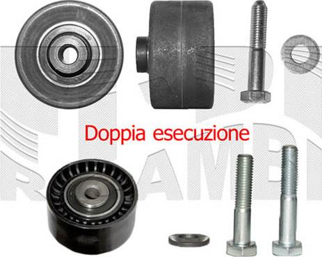 Caliber 06867 - Poulie renvoi / transmission, courroie de distribution droxauto.com