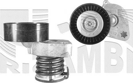 Caliber 00667 - Tendeur de courroie, courroie trapézoïdale à nervures droxauto.com