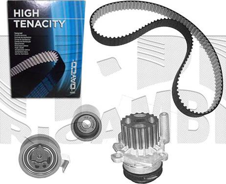 Caliber 0306KWWB - Pompe à eau + kit de courroie de distribution droxauto.com