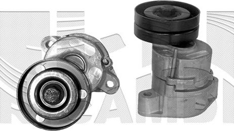 Caliber 16063 - Tendeur de courroie, courroie trapézoïdale à nervures droxauto.com