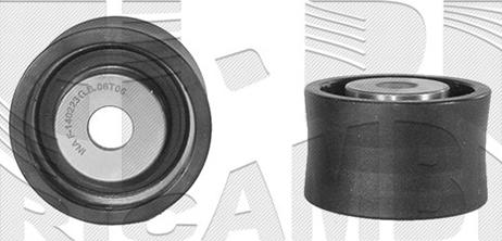 Caliber 16863 - Poulie renvoi / transmission, courroie de distribution droxauto.com