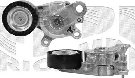 Caliber 10463 - Tendeur de courroie, courroie trapézoïdale à nervures droxauto.com