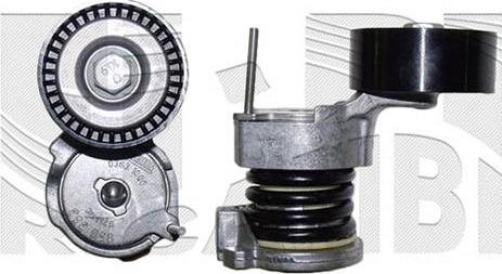 Caliber 10669 - Tendeur de courroie, courroie trapézoïdale à nervures droxauto.com