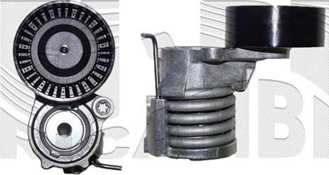 Caliber 10668 - Tendeur de courroie, courroie trapézoïdale à nervures droxauto.com