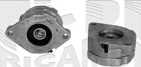 Caliber 17066 - Tendeur de courroie, courroie trapézoïdale à nervures droxauto.com