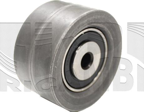 Caliber 89910 - Poulie renvoi / transmission, courroie de distribution droxauto.com