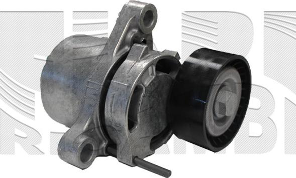 Caliber 89570 - Tendeur de courroie, courroie trapézoïdale à nervures droxauto.com