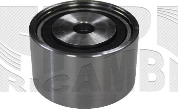 Caliber 89696 - Poulie renvoi / transmission, courroie de distribution droxauto.com