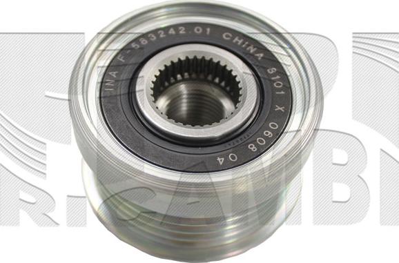 Caliber 89876 - Poulie, alternateur droxauto.com