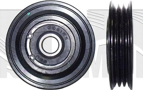 Caliber 88670 - Poulie renvoi / transmission, courroie trapézoïdale à nervures droxauto.com