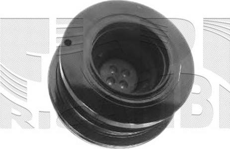 Caliber 87354 - Poulie, vilebrequin droxauto.com