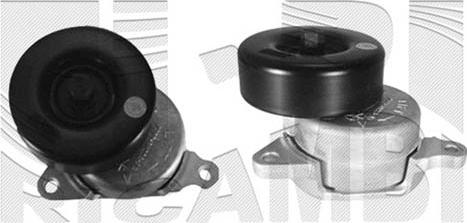 Caliber 30169 - Tendeur de courroie, courroie trapézoïdale à nervures droxauto.com