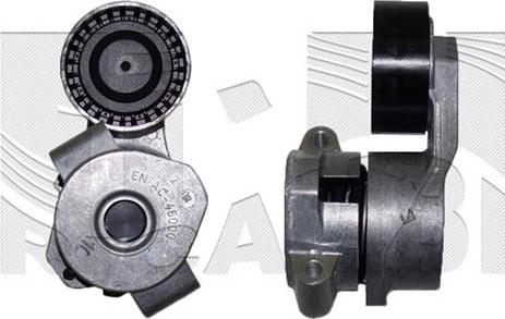 Caliber 20968 - Tendeur de courroie, courroie trapézoïdale à nervures droxauto.com