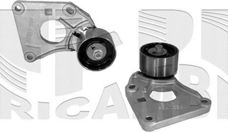 Caliber 27569 - Tendeur, courroie de distribution droxauto.com