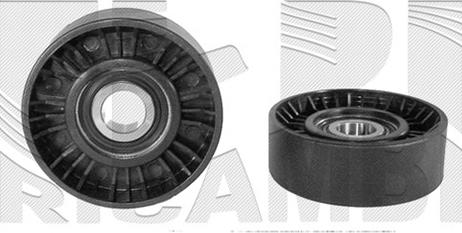 Caliber 76161 - Poulie renvoi / transmission, courroie trapézoïdale à nervures droxauto.com