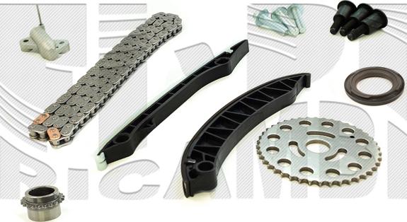 Caliber KCC419 - Kit de distribution par chaîne droxauto.com