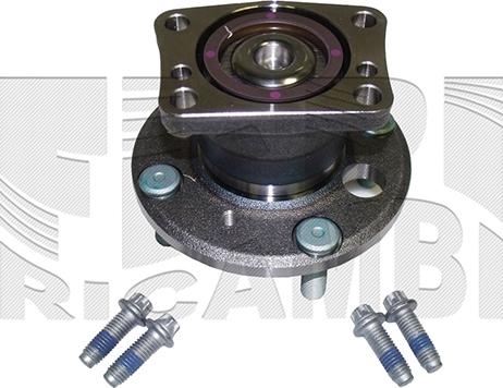 Caliber RC10000 - Kit de roulements de roue droxauto.com