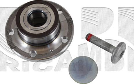 Caliber RC1100 - Kit de roulements de roue droxauto.com