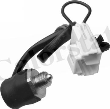Calorstat by Vernet RS5596 - Contacteur, feu de recul droxauto.com