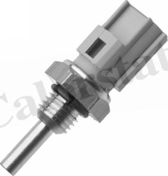 Calorstat by Vernet WS3079 - Sonde de température, liquide de refroidissement droxauto.com