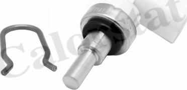 Calorstat by Vernet WS3100 - Sonde de température, liquide de refroidissement droxauto.com