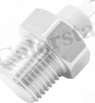 Calorstat by Vernet WS2966 - Sonde de température, liquide de refroidissement droxauto.com