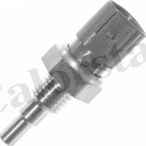 Calorstat by Vernet WS2938 - Sonde de température, liquide de refroidissement droxauto.com