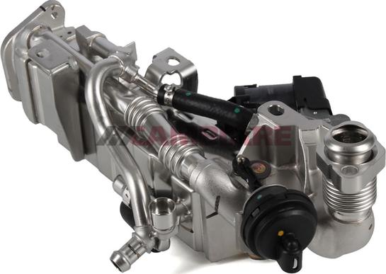 Cambiare VE360321 - Radiateur, réaspiration des gaz d'échappement droxauto.com