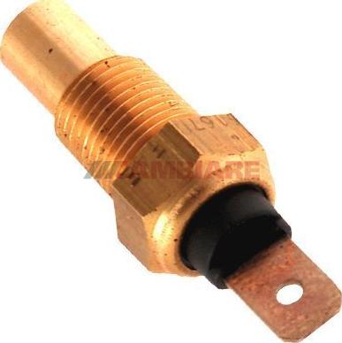 Cambiare VE718117 - Sonde de température, liquide de refroidissement droxauto.com