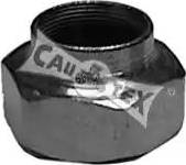 Cautex 951004 - Écrou, bout d'essieu droxauto.com