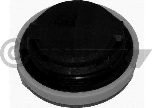 Cautex 481066 - Bouchon, goulotte de remplissage d'huile droxauto.com