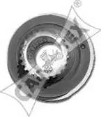 Cautex 080970 - Poulie, vilebrequin droxauto.com